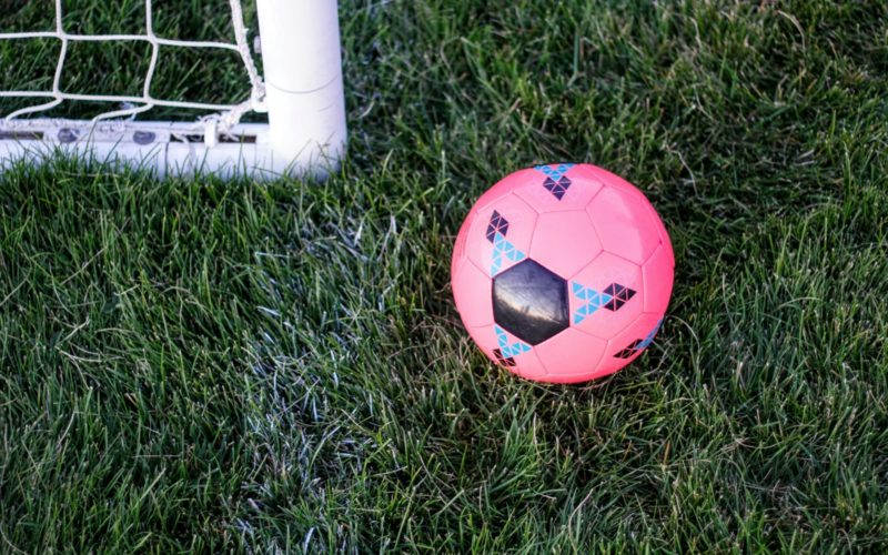 pink rubber ball beside goal net